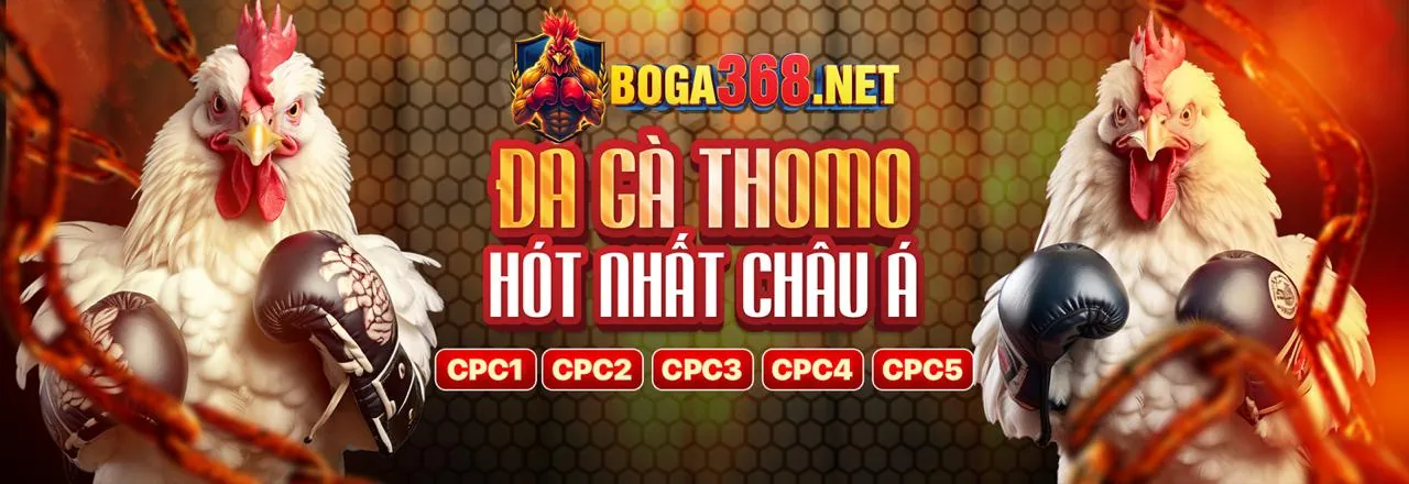Các tính năng nổi bật của ứng dụng s8bet nhà cái